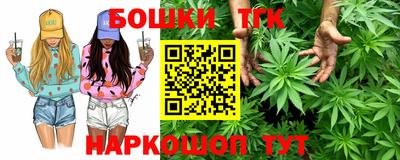 гидра Новозыбков