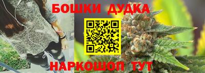 соль ск Новокубанск