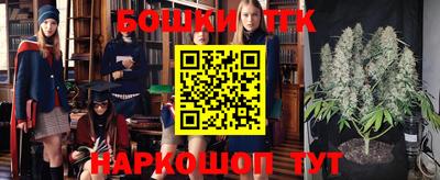 гидра Новозыбков