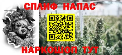 прущие грибы Новодвинск
