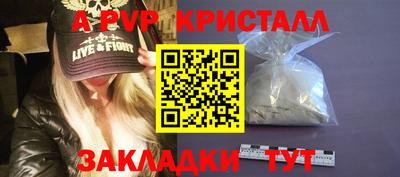 гидра Новозыбков