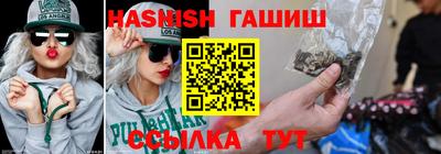гидра Новозыбков